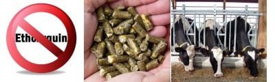 Suspension of ethoxyquin in animal feed