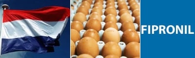 Alerte : détection de fipronil dans les oeufs