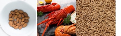 Alertes Alimentaires Semaine 39