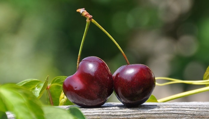 Aviso a los importadores Dimetoato sobre Cerezas Frescas