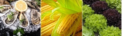 Food alerts week 43