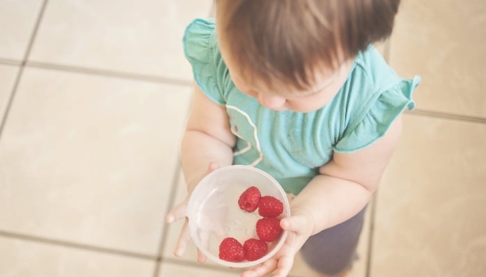 L&rsquo;UE fixe des teneurs maximales en furane dans l’alimentation infantile
