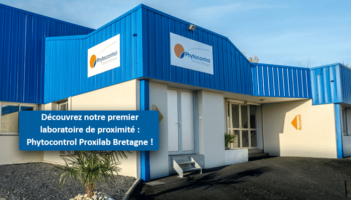 Phyto’news – December 2018