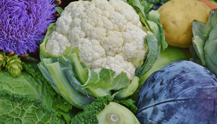 Alertes alimentaires Semaine 38