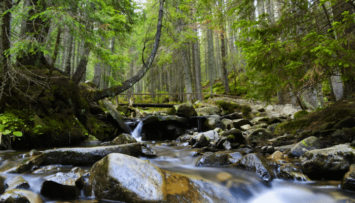 Nouvelle Directive (UE) 2026/805 établissant un cadre pour une politique communautaire dans le domaine de l’eau