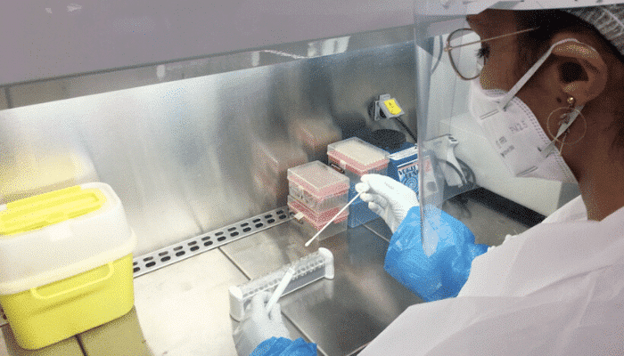 COVID-19 : Phytocontrol analyse le SARS-CoV-2 sur écouvillon