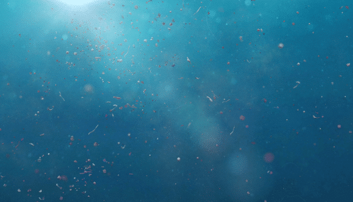 Contamination des eaux par les microplastiques