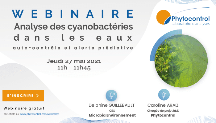 Webinaire cyanobacteries