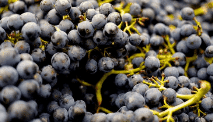 Food alerts week 46