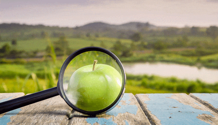 Phytocontrol étend son offre en authenticité d’espèces végétales