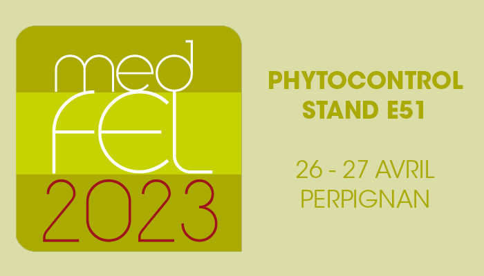 Participation et conférence au MedFEL 2023