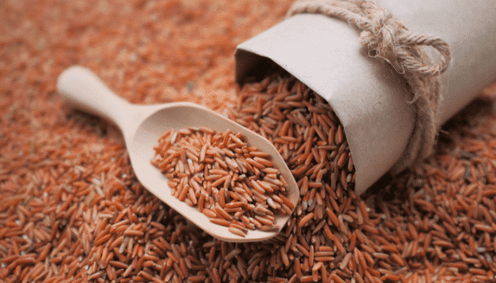 Food alerts week 48