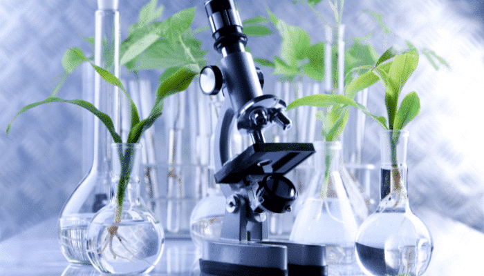 Qu’est-ce que la pharmacopée ?