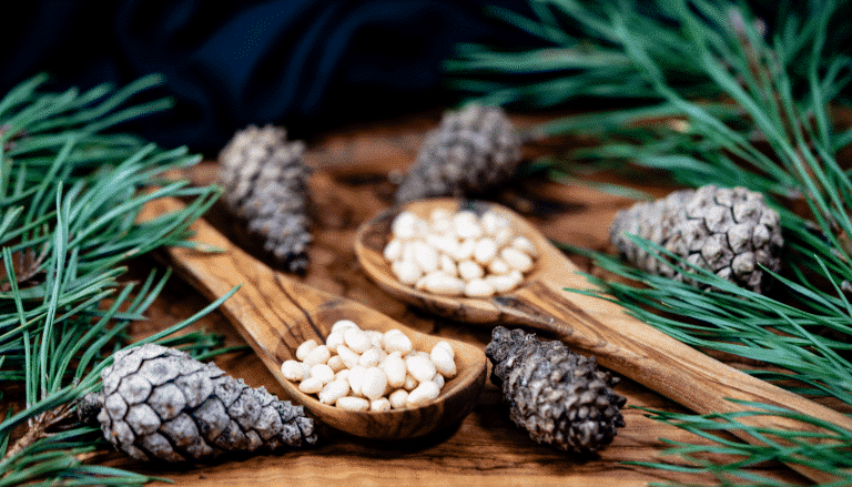European alerts Week 16