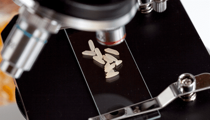 Riz analyse laboratoire