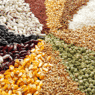Produits céréaliers