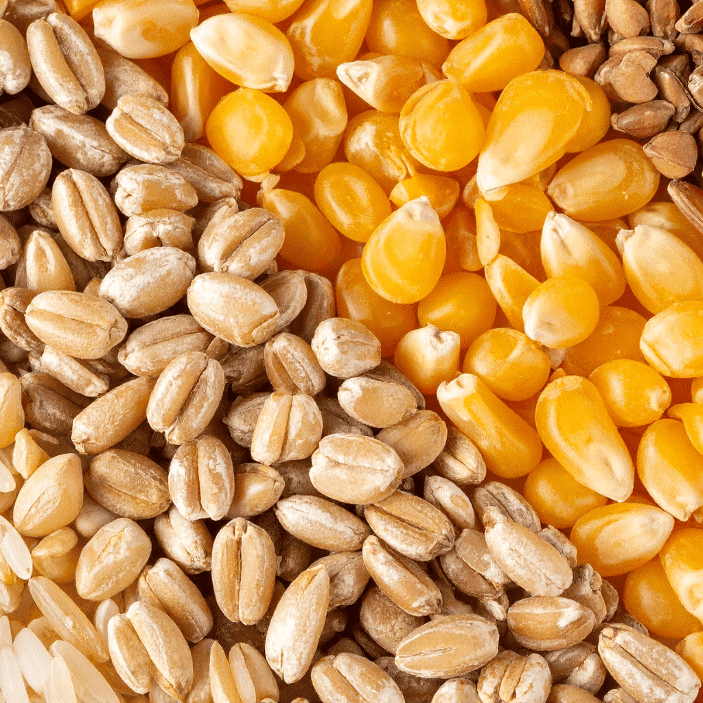 Produits céréaliers