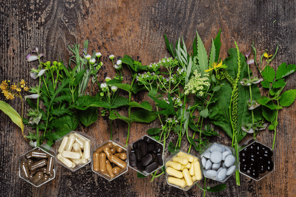 Phytocontrol Biopharma