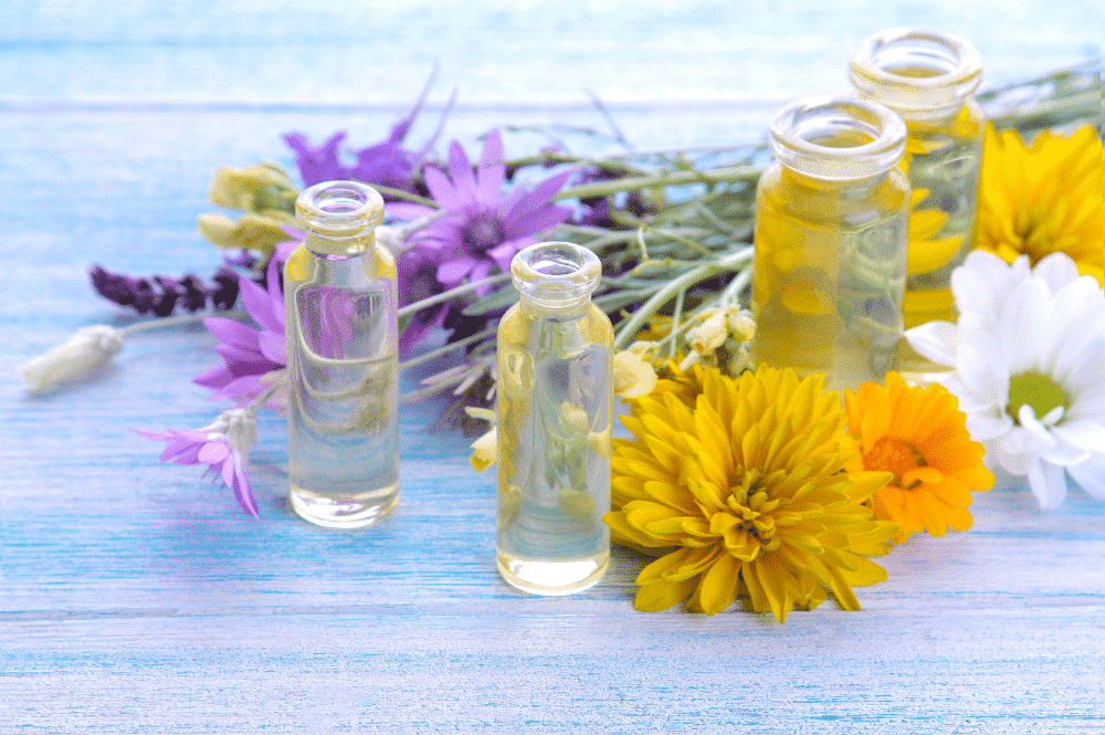 Plant extracts