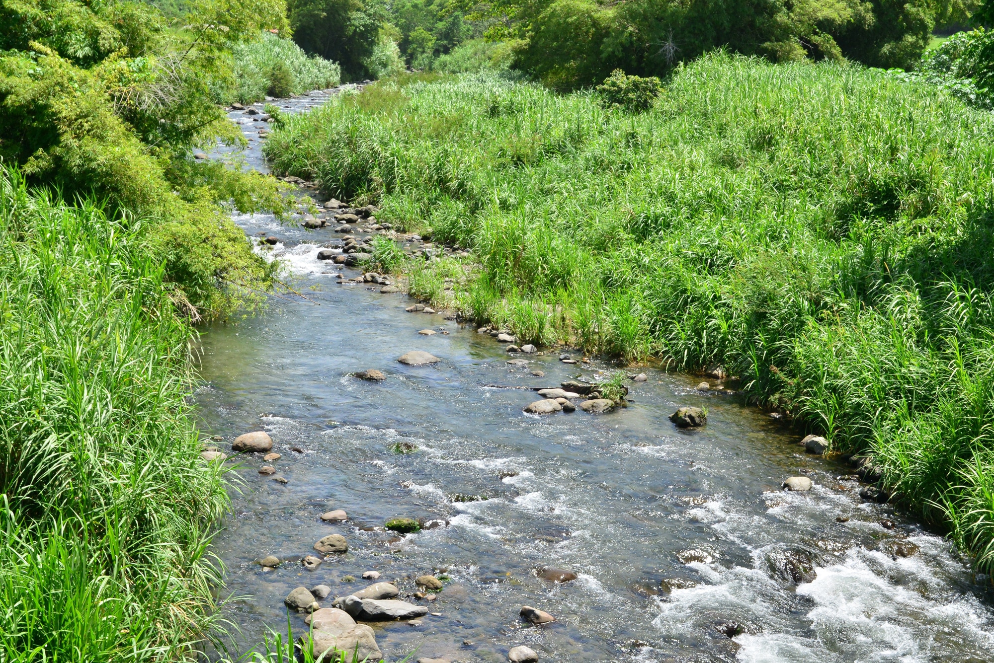 Activites eaux brutes 02