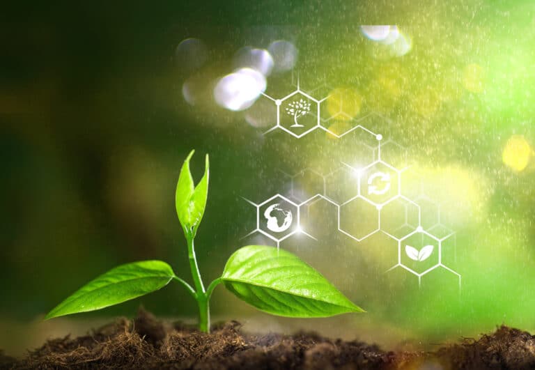 Fisicoquímica de las plantas