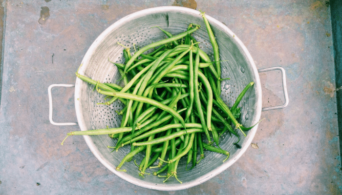 Haricots verts