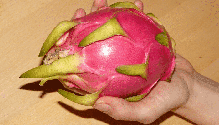 Fruit du dragon
