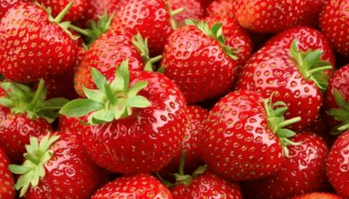 Fraises