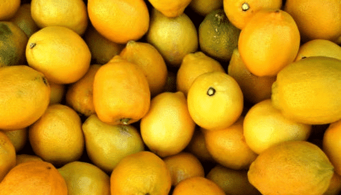 Citrons