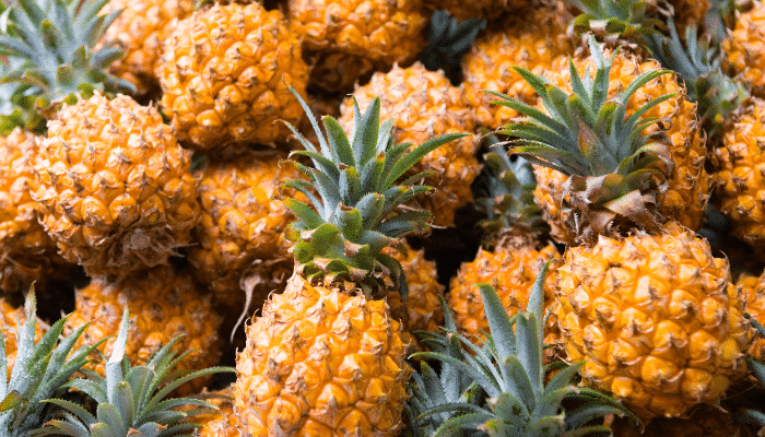 ananas