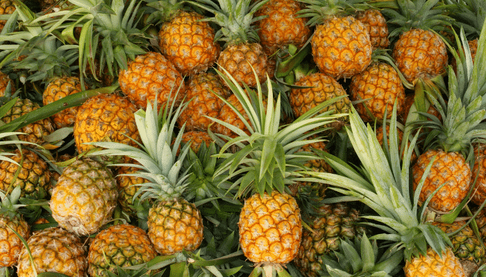 ananas