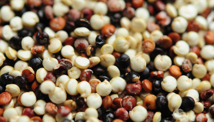 quinoa