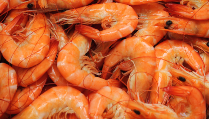 crevettes