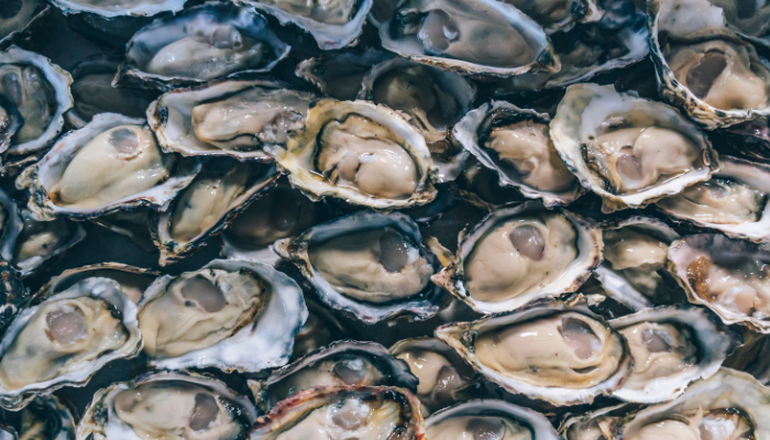 huitres